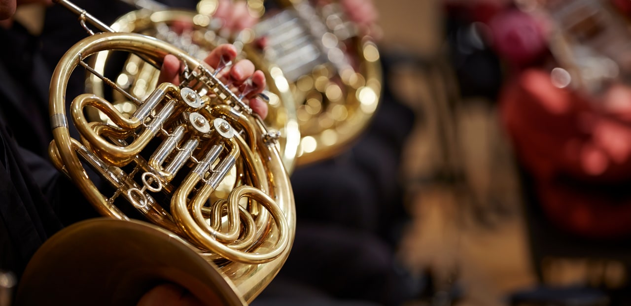 A musician’s hands holding a French horn